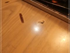 -MR.ROCKY洛奇先生RESTAURANT&BAR(宝安壹方城店)