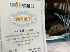 -纳吉亚猫专科动物医院·北北分院