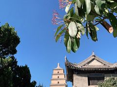 -大慈恩寺(大雁塔)