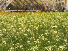 -中国天府农业博览园