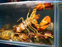 -船奇蒸汽海鲜·闽菜(八市海鲜总店)