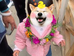 -南诏风情岛
