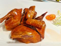 -皇朝尊会(龙之梦大酒店)