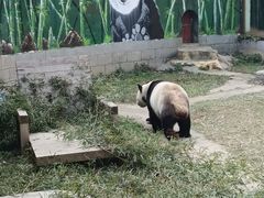 -南昌动物园