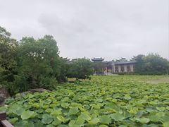 -朴园