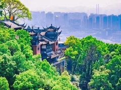 -南山植物园