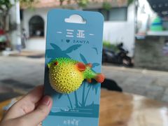 -后海村