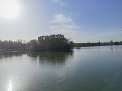 -大兴滨河森林公园