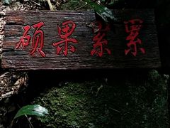 -海南霸王岭国家森林公园
