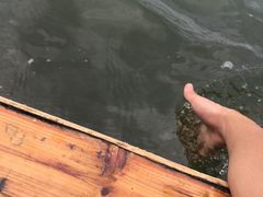 -西湖游船