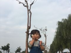 -漕湖湿地公园