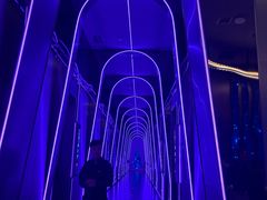 -唛歌KTV(城西银泰店)