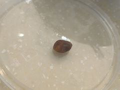 -龙记桂林米粉(财满街店)