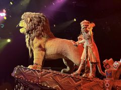 -狮子王庆典