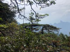 -三清山风景名胜区