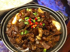红烧牛筋腩-天府传奇大酒店(金山东路店)