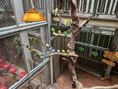 -正佳雨林生态植物园