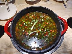 鲜椒锅-香坝坝鲜鱼火锅(春熙路店)