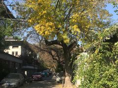 -VOYAGE COFFEE(北锣鼓巷店)