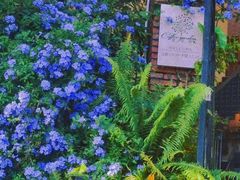 -花苑里咖啡(威远店)