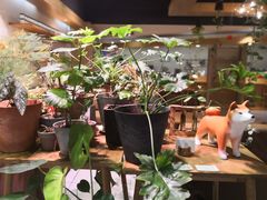 -柴务处·柴犬主题狗咖