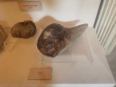 -北京动物园-畅观楼