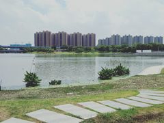 -映月湖中央公园