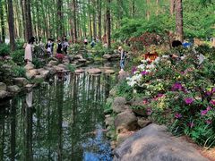 -上海共青森林公园