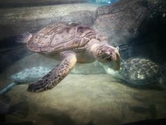 -福州罗源湾海洋世界旅游区