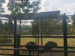 -北京麋鹿生态实验中心