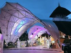 -清迈夜间动物园