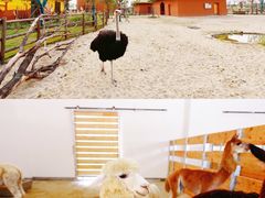 -祥源·阜阳生态乐园