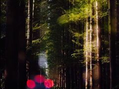 -上海怡沁园度假酒店