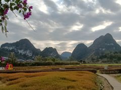 -靖西鹅泉风景区