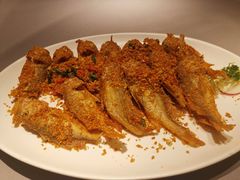 -金悦轩海鲜城(渔人码头店)