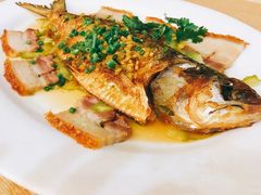 -龙悦湾酒家·八阵鱼生·渔人码头店