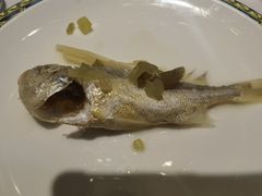 -宝燕壹号(徐汇店)