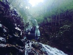 -藏龙百瀑风景区