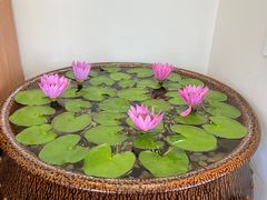 -第六季自助餐厅(北太平庄店)