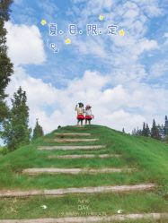 点击看大图 -前小桔亲子创意农场·草莓采摘·露营烧烤