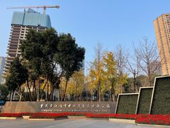 -重庆市江北嘴中央商务区中央公园