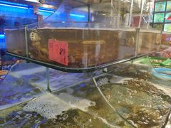 -友强·23年特色海鲜大排档(厦门店)