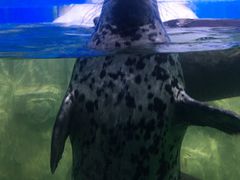 -多彩贵州城极地海洋世界