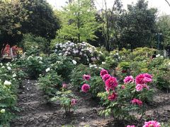 -江南大学(蠡湖校区)