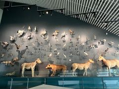 -中国湿地博物馆