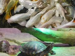 -正佳雨林生态植物园