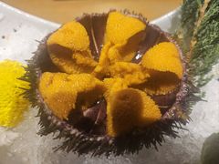 -九酢·海鲜居酒屋