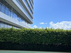 -瑰丽酒店·海吧·天际下午茶·现场DJ·天台酒吧