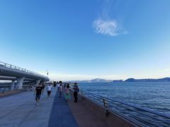 -演武大桥观景平台