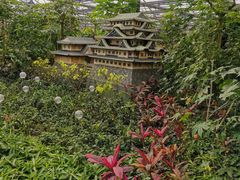 -南宫五洲植物乐园